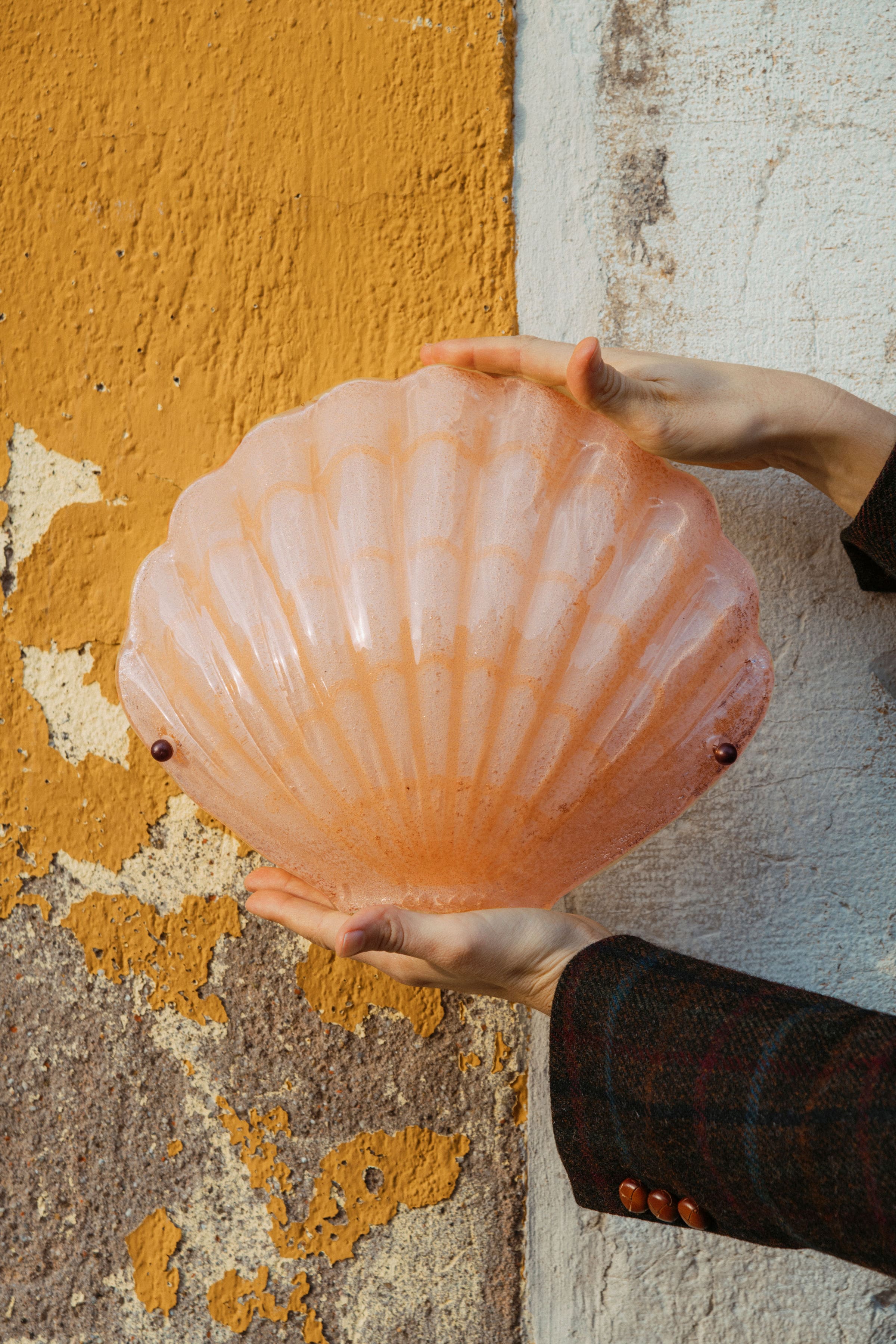 Abalone Sconce, Colors